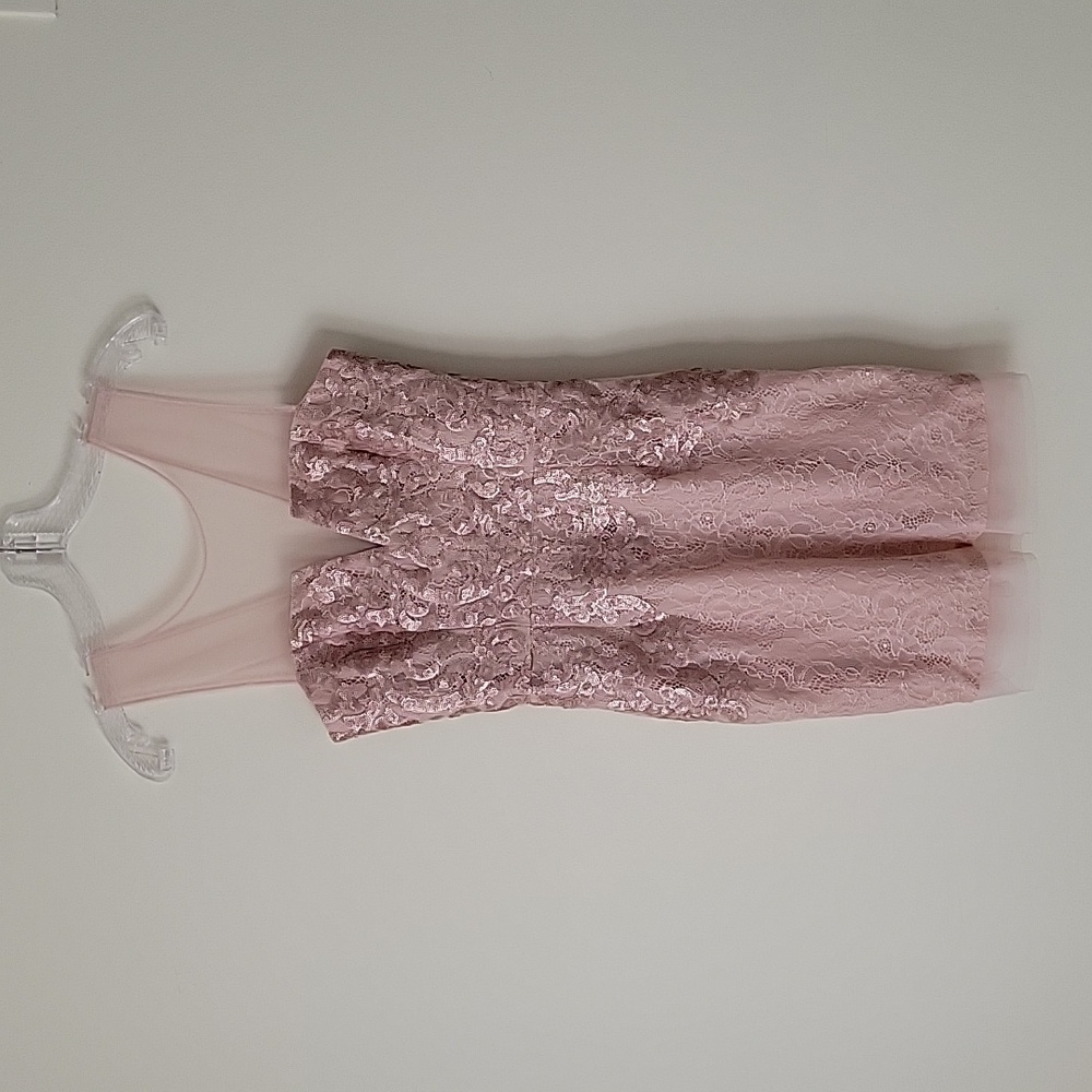 BCBGMaxAzria Women's Abigail Dusty Pink Lace Sequin Mini Dress- Size 2